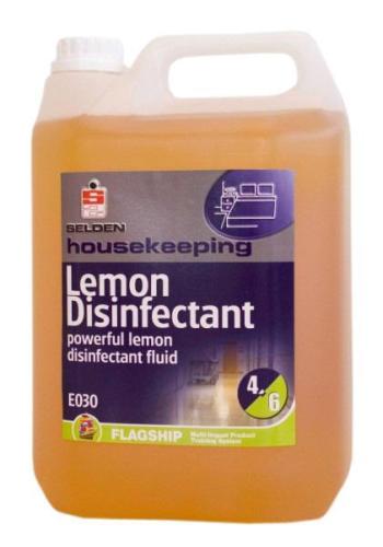 Clean & Clever Pine Disinfectant        13100