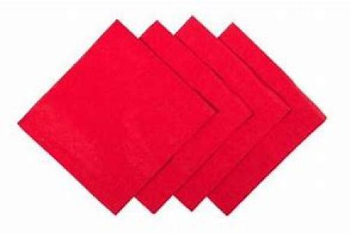 Napkins 33cm 2ply - White                132P/RC-132P