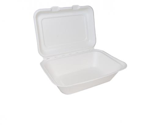 Bagasse Clamshell Regular 7x5''         29953/D06002