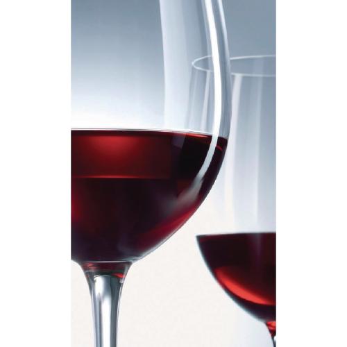 Schott Zwiesel Classico Burgundy Glass - 408ml 13.8oz (Box 6)