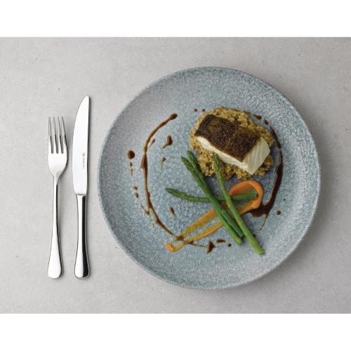 Churchill Studio Prints Raku Coupe Bowl - 248mm (Box 12) (Direct)