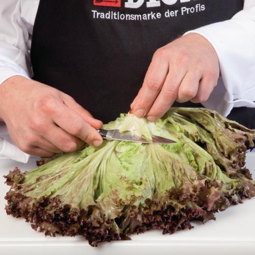 Dick Premier Plus Paring Knife - 9cm 3 1/2"