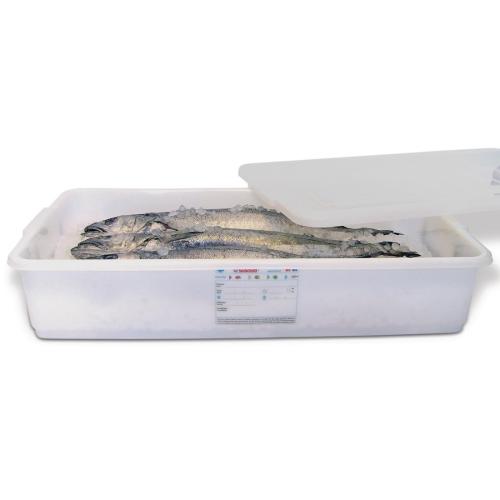 Araven Food Storage Box & Lid (with colour clips) 40Ltr 830x460x180mm 36.5x18x7"