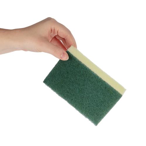 EDLP Jantex Foam Scourer (Pack 10)