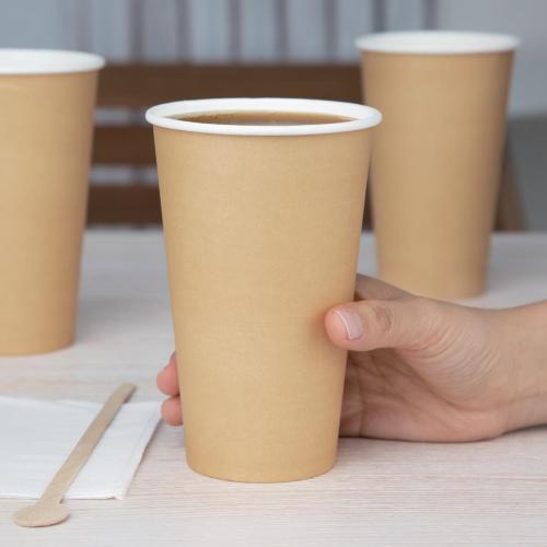 Fiesta Recyclable Hot Cup Single Wall Kraft 16oz (Sleeve 50)