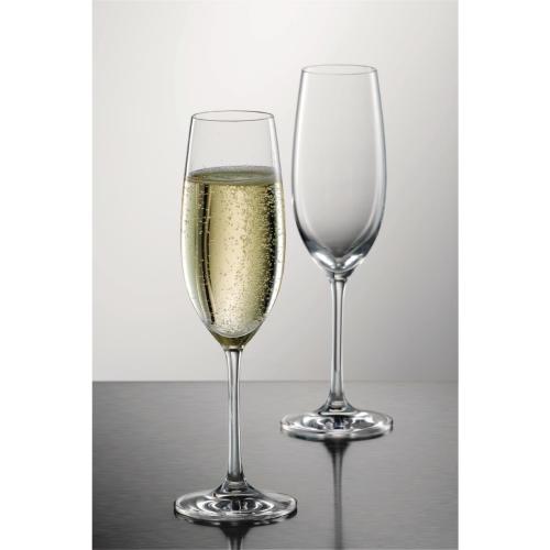 Ivento Champagne Flute - 230ml (Pack 6)