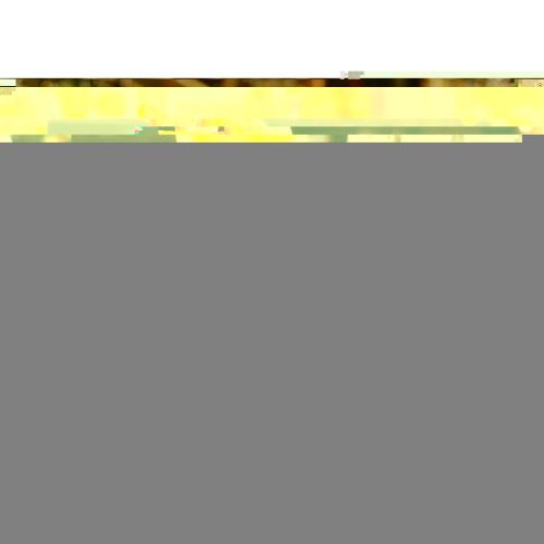 Gibraltar Twist Beverage - 350ml 12oz (Box 12)