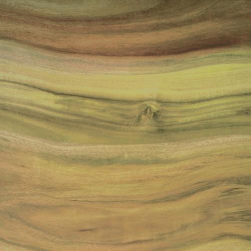 Werzalit Square 600mm Table Top (Olive 269) (B2B)