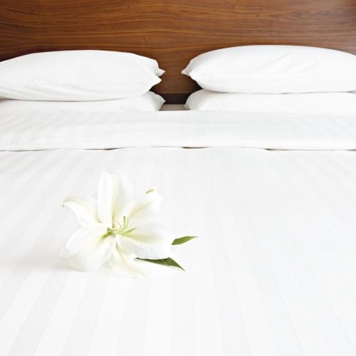 Comfort Satin/H Duvet Cover Open White - King - 230x218cm
