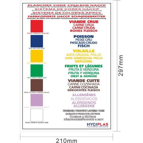 Hygiplas Colour Coded UK Wall Chart