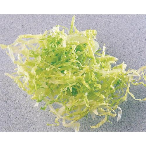 Robot Coupe Slicer Disc 2mm for J495 J461 J492 J493 F206 CC014 CC011