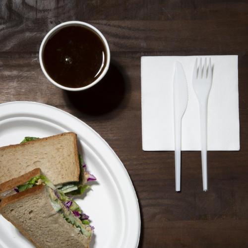 Fiesta Lightweight Plastic Fork White (Pack 100)