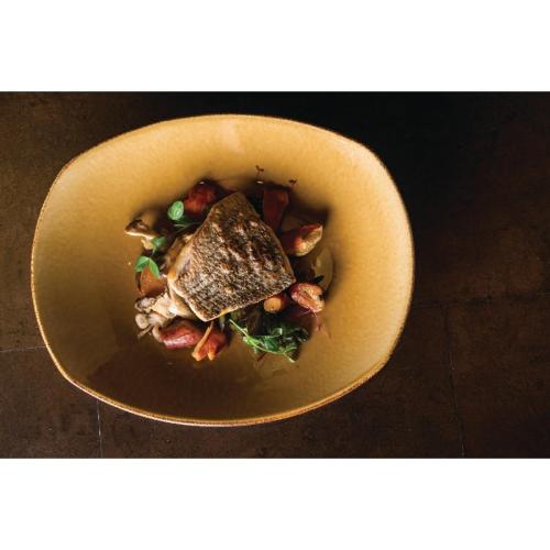 Steelite Terramesa Mustard Spice Plate - 25.5cm 10" (Box 24) (B2B)