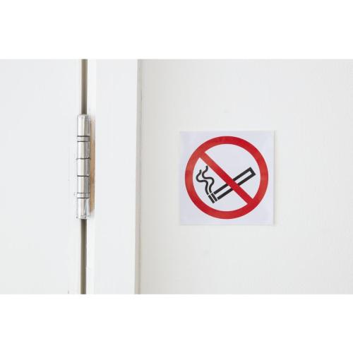 Vogue No Smoking Symbol Window - 100x100mm 4x4" (Self Adhesive)