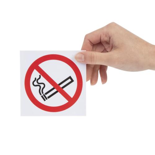 Vogue No Smoking Symbol Window - 100x100mm 4x4" (Self Adhesive)